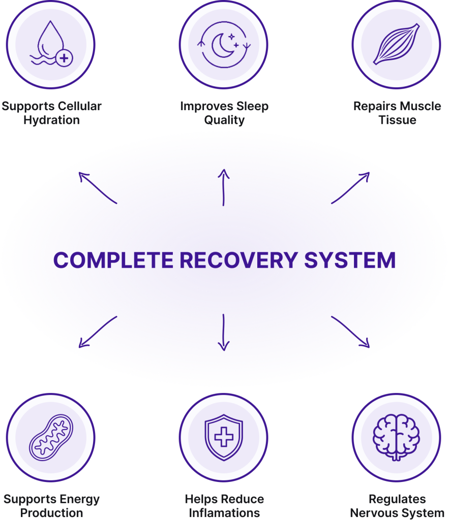 recovery system illustration